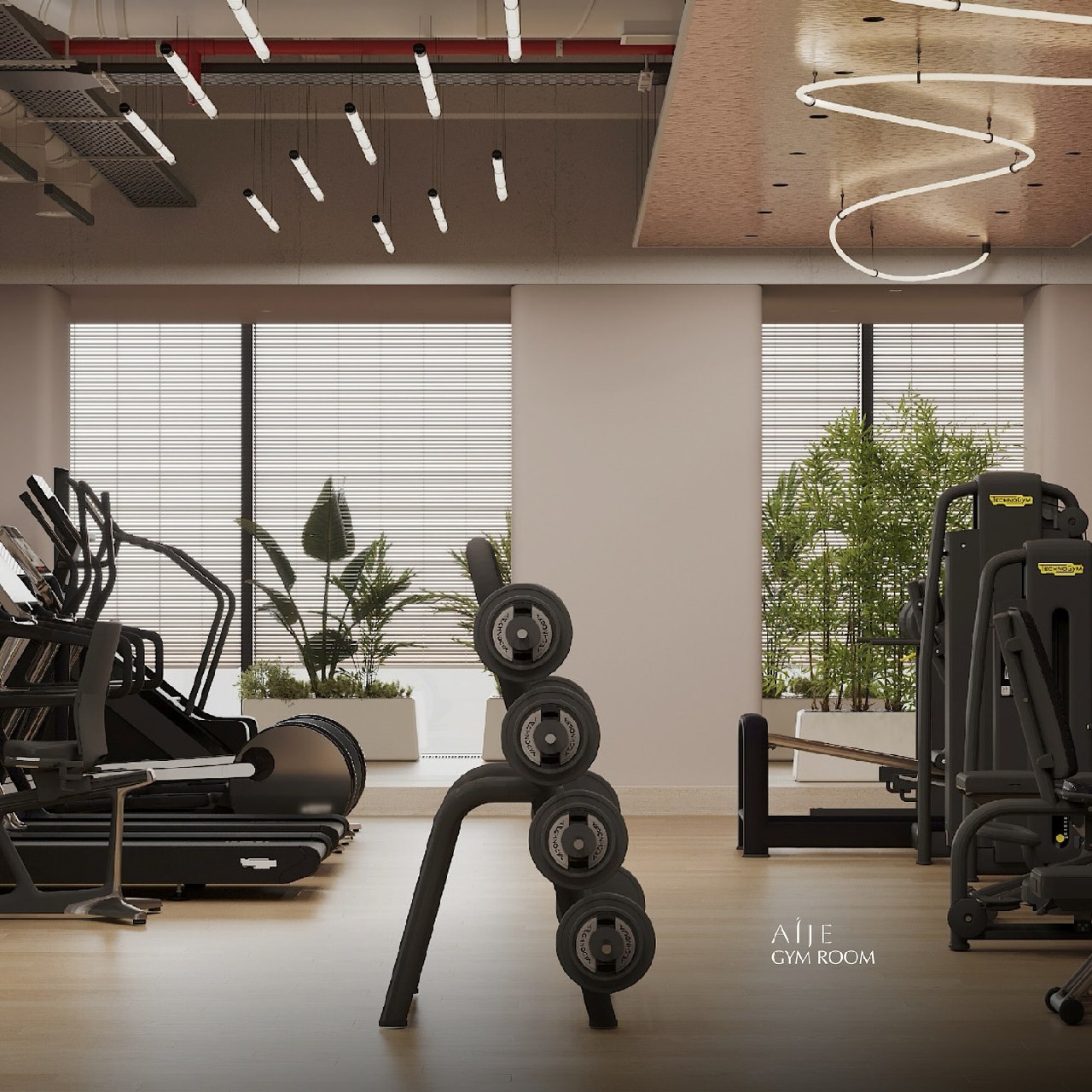 AÍJE Gym Room